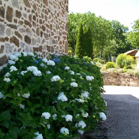 Gite Familial En Chataigneraie, Jardin Clos, Garage Amenage, Proche Randonnees Et Villages Pittoresques - Fr-1-742-450 Holiday home *